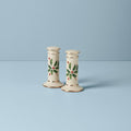 Holiday Salt & Pepper Set of 2