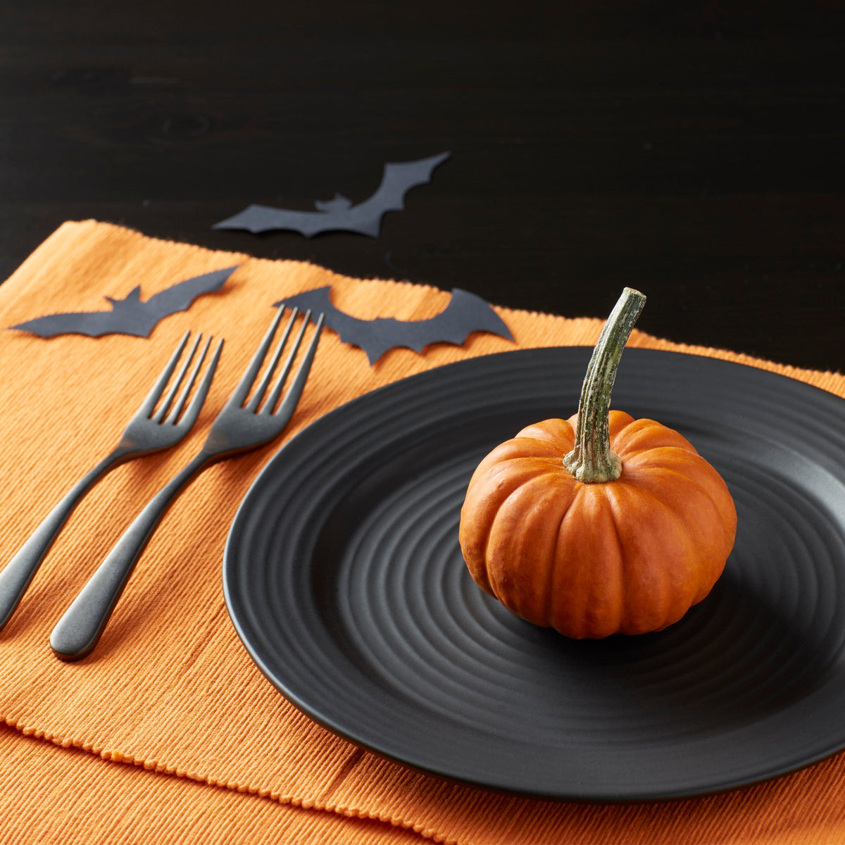 Ridge Black 12-Piece Dinnerware Set