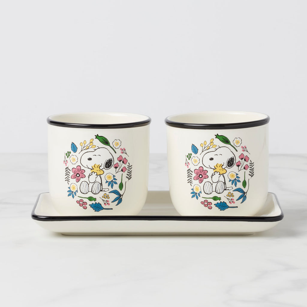 Chef Snoopy Herb Pots, Set Of 3